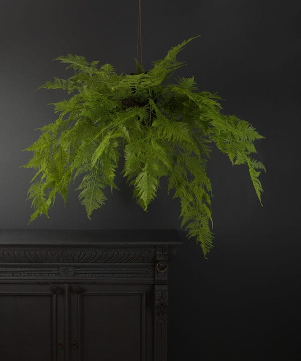 Large hanging artificial fern against a black background