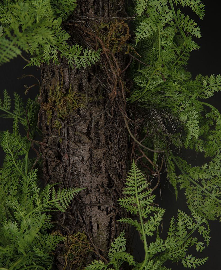 Faux Plants Dowsing & Reynolds