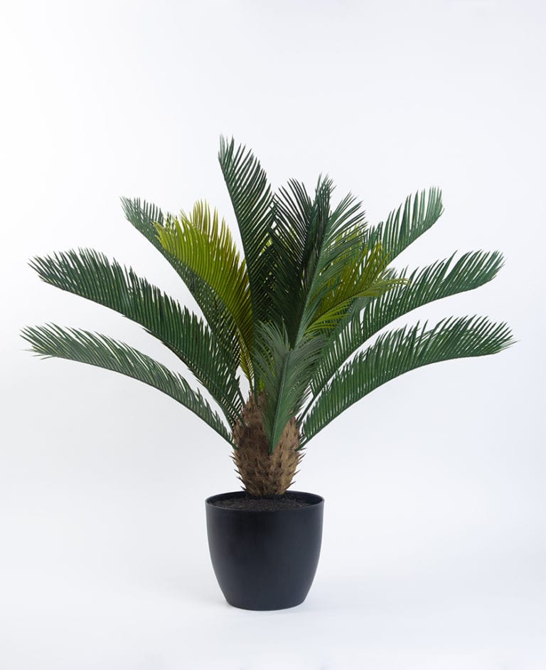 Sago Palm Artificial Faux Indoor Cycad Palm Tree