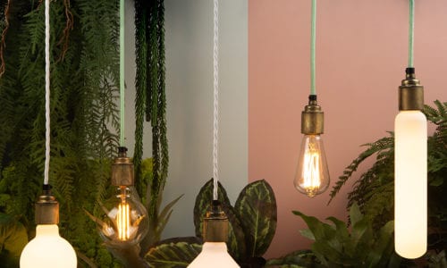 environmentally sustainable led bulbs suspended from lengths of mint green and white fabric cable against white and pink background with foliage