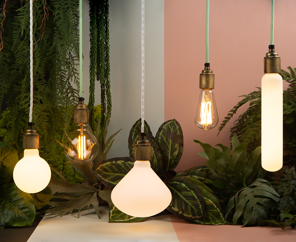 environmentally sustainable led bulbs suspended from lengths of mint green and white fabric cable against white and pink background with foliage