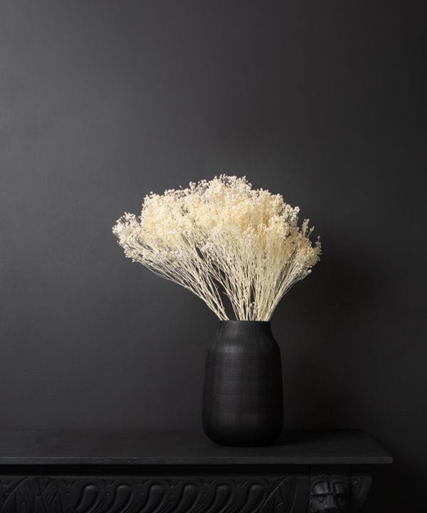 white broom plant bouquet in a black vase against black background