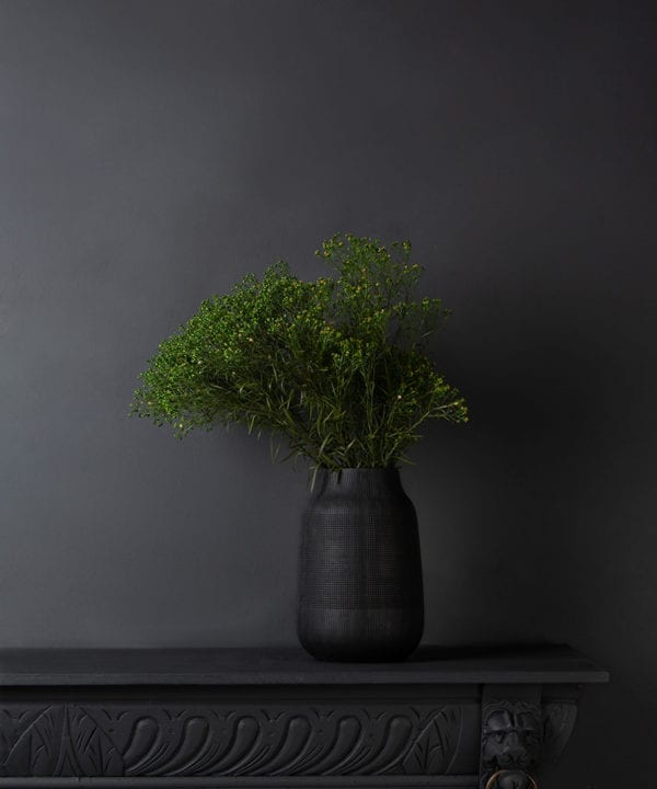 preserved broom flower in a black textured vase against black background