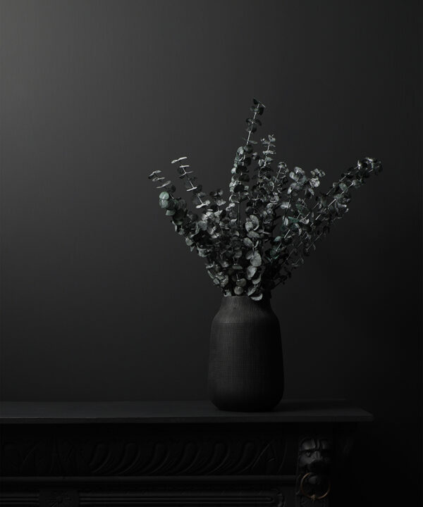 eucalyptus blue bouquet on black background