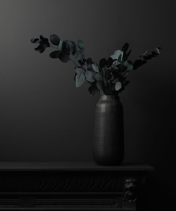 eucalyptus populus bouquet in black vase on black background