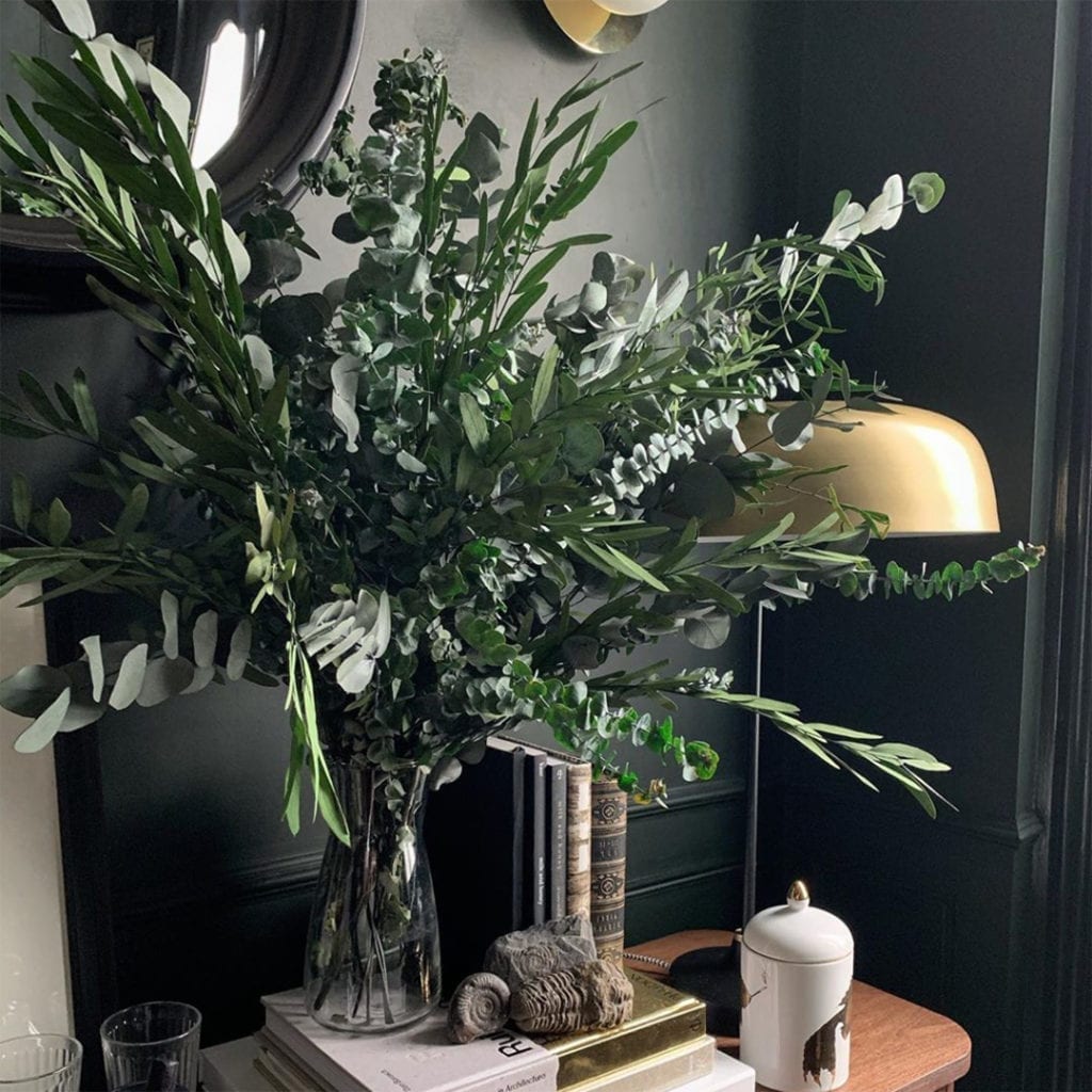 baby blue eucalyptus in glass vase in dark grey space