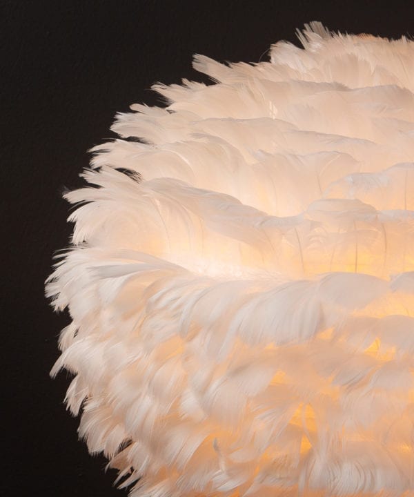 Closeup of white feather light shade against black background