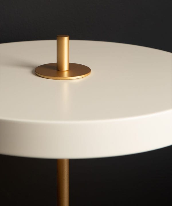 close up image of umage asteria white table light on black background