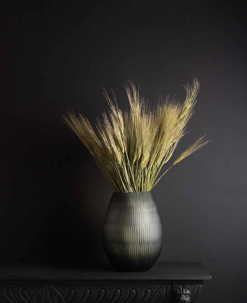 tall glass vase with preserved barley bouquet against black background