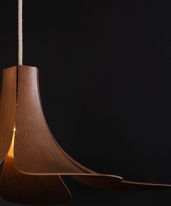 umage jazz wooden lampshade close up against black background