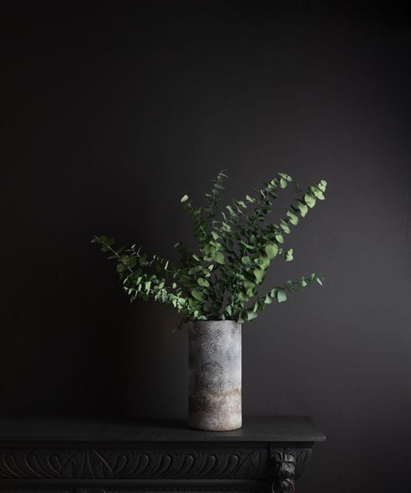 rock effect vase with preserved eucalyptus stuartiana against black background