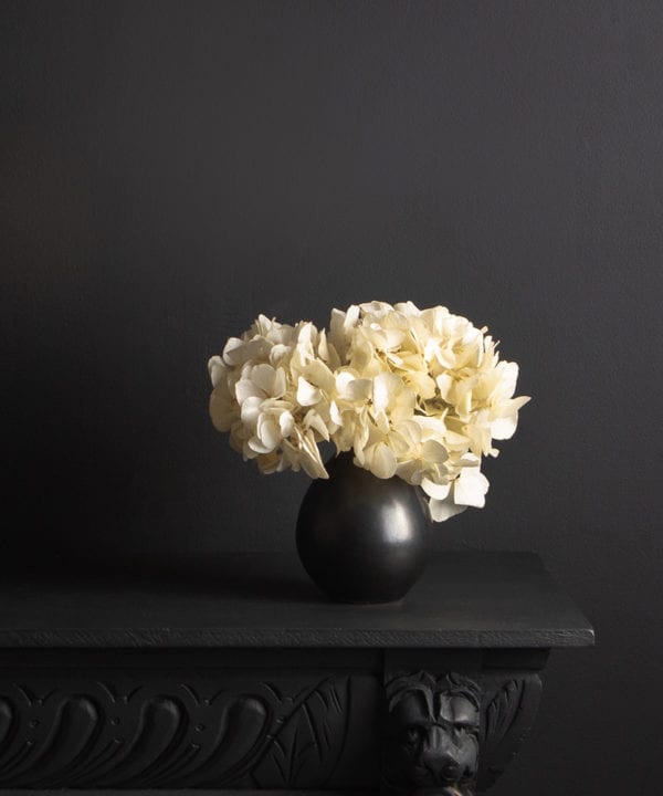 black stem vase with preserved ivory hydrangea stem against black background