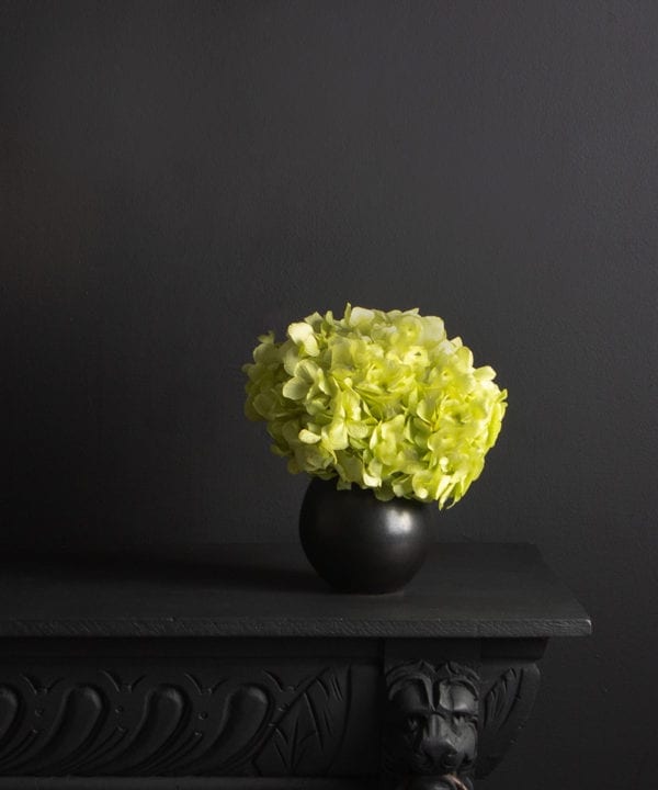 black stem vase with preserved pistachio hydrangea stem against black background