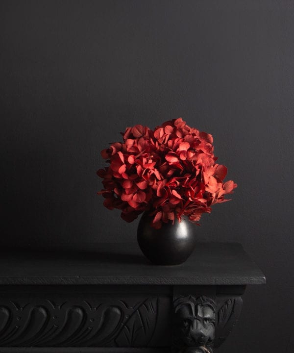 black stem vase with preserved red hydrangea stem against black background