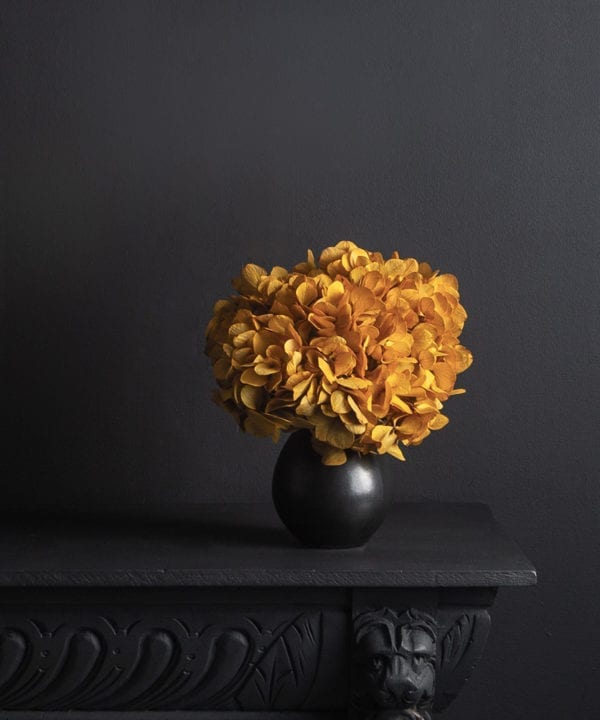 black stem vase with preserved saffron hydrangea stem against black background