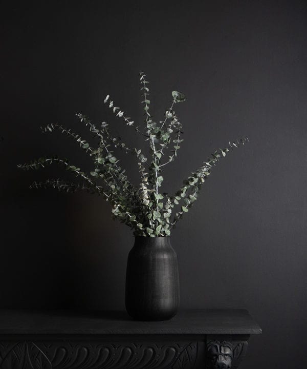 black vase with preserved eucalyptus baby blue bouquet against black background