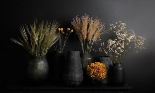 group shot of vases with dried and preserved foliage against black wall