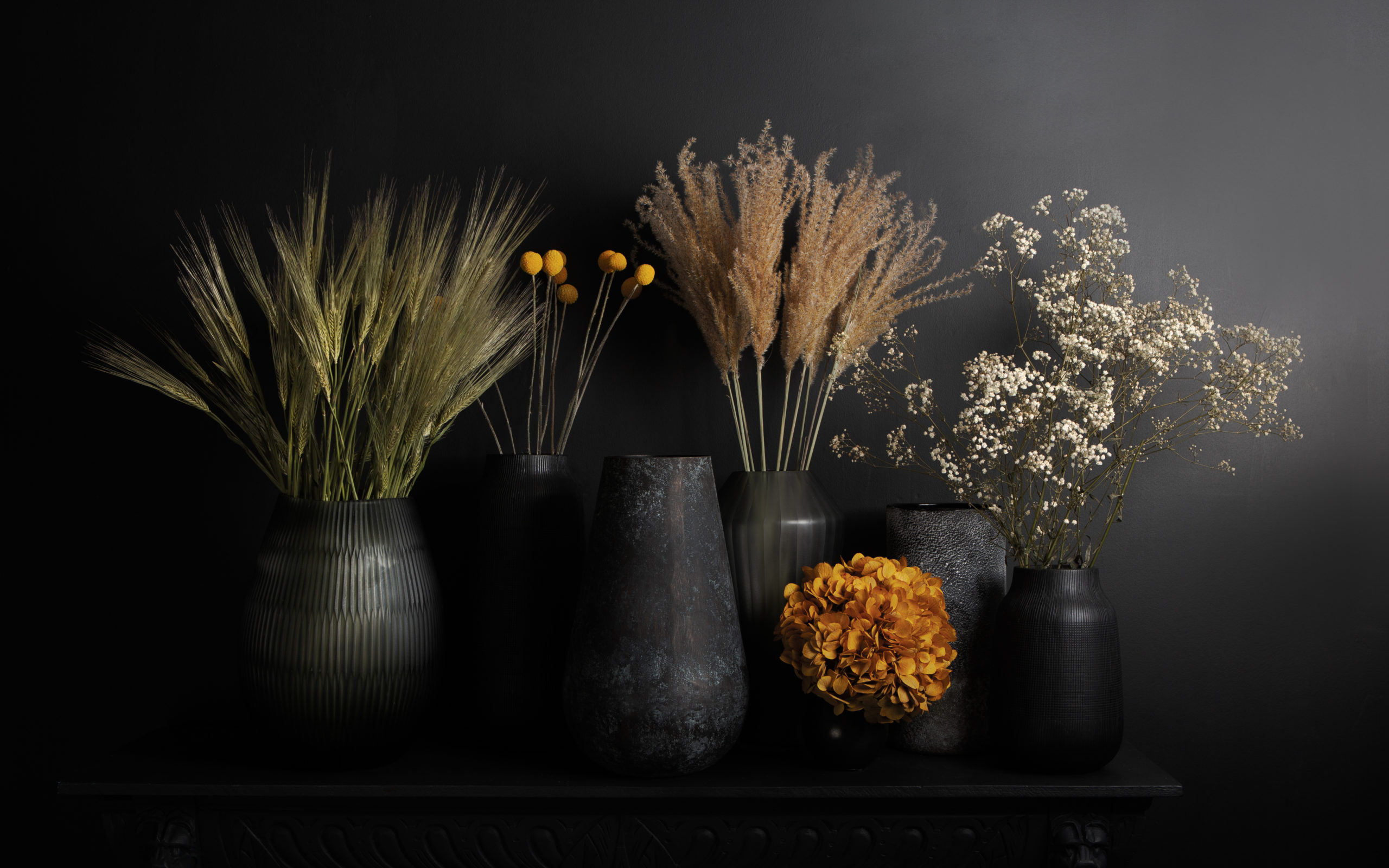 group shot of vases with dried and preserved foliage against black wall