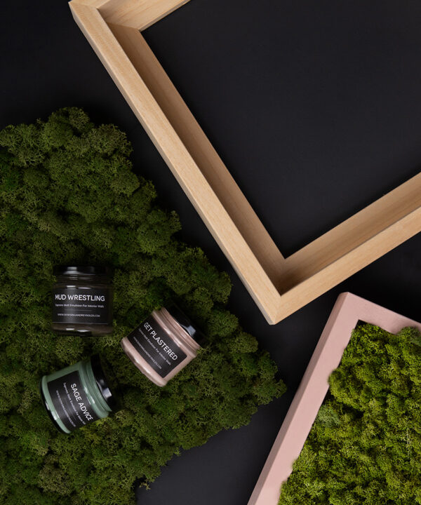 wooden box frame, preserved moss and sample paint pots against black background