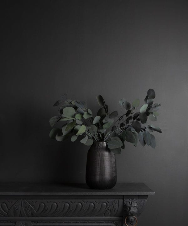 eucalyptus populus in black textured vase on black cabinet against black wall