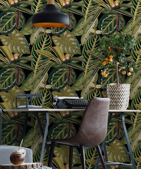 amazonia wallpaper