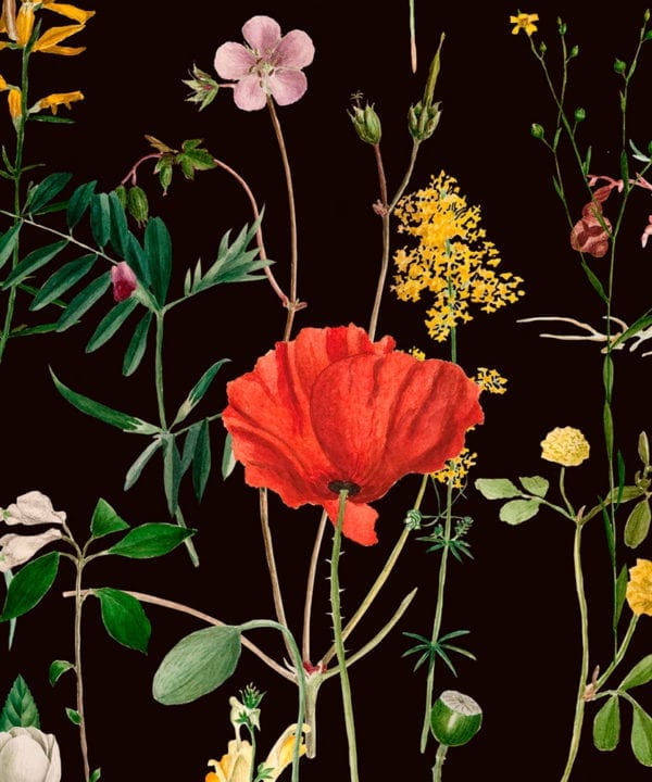 aquafleur anthracite wallpaper close up