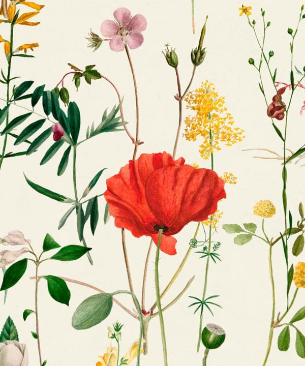 aquafleur wallpaper close up