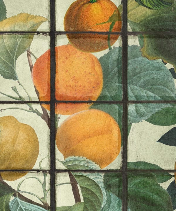 orangerie wallpaper close up