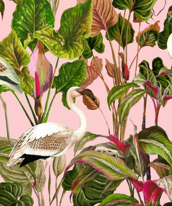 beverly hills pink wallpaper close up