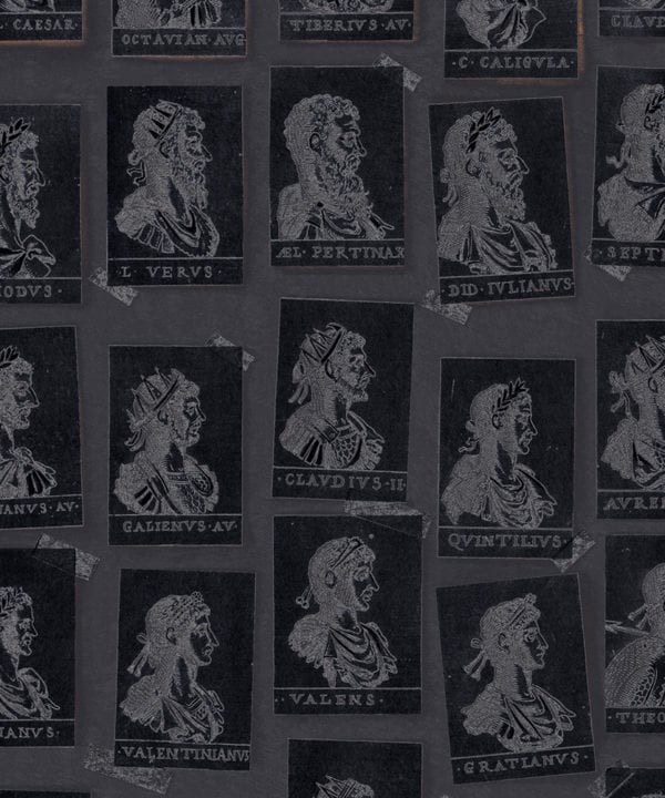 emperors anthracite wallpaper close up