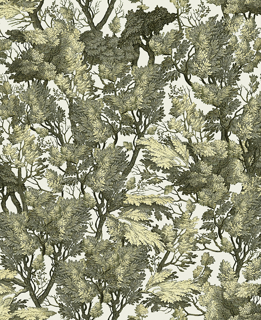 tree foliage wallpaper close up