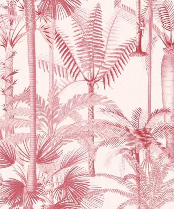 palmera cubana pink wallpaper close up