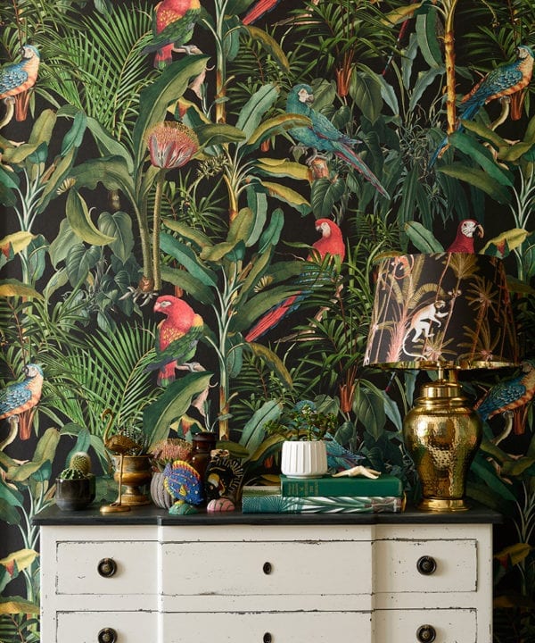parrots of brasil anthracite wallpaper