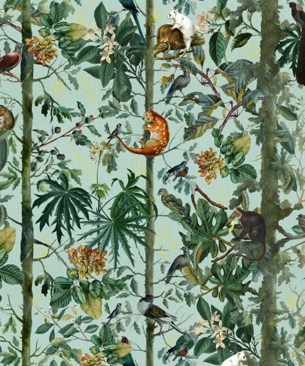 wildlife of papua wallpaper close up