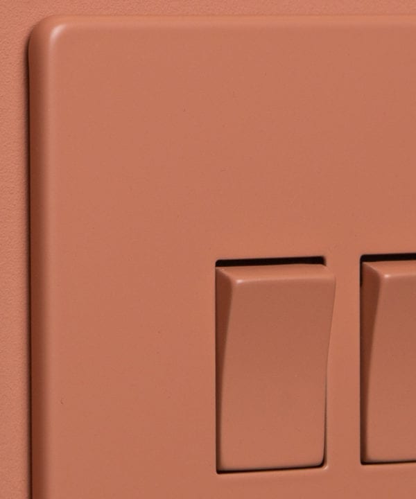 cinnamon 2g double rocker switch