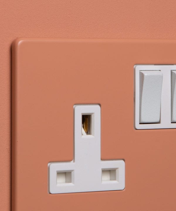 close up of cinnamon double plug socket with white insert on cinnamon background