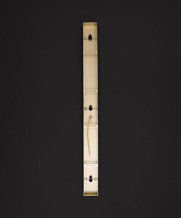 back of small gold rectangular ceiling rose