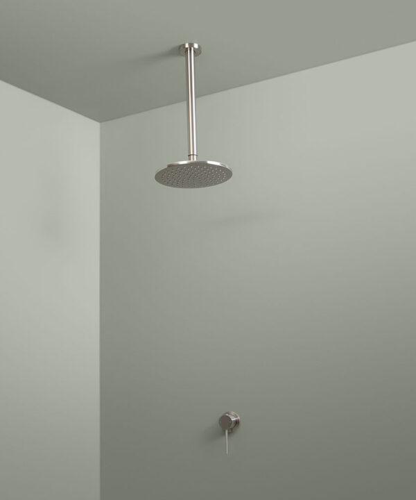 silver ceiling shower