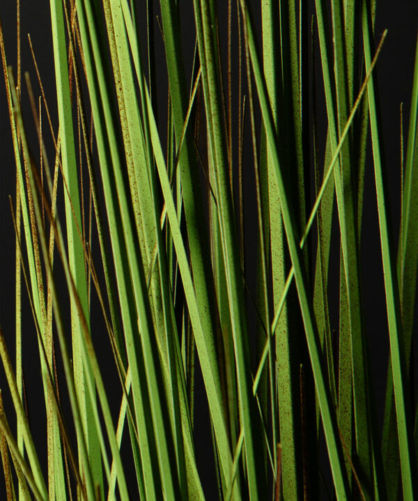 green faux wild grass close up