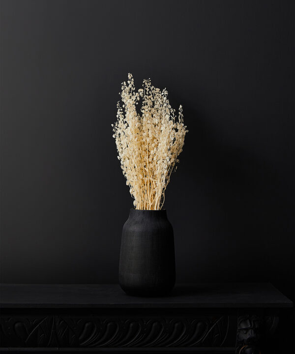 Penny cress bouquet in black vase on black background