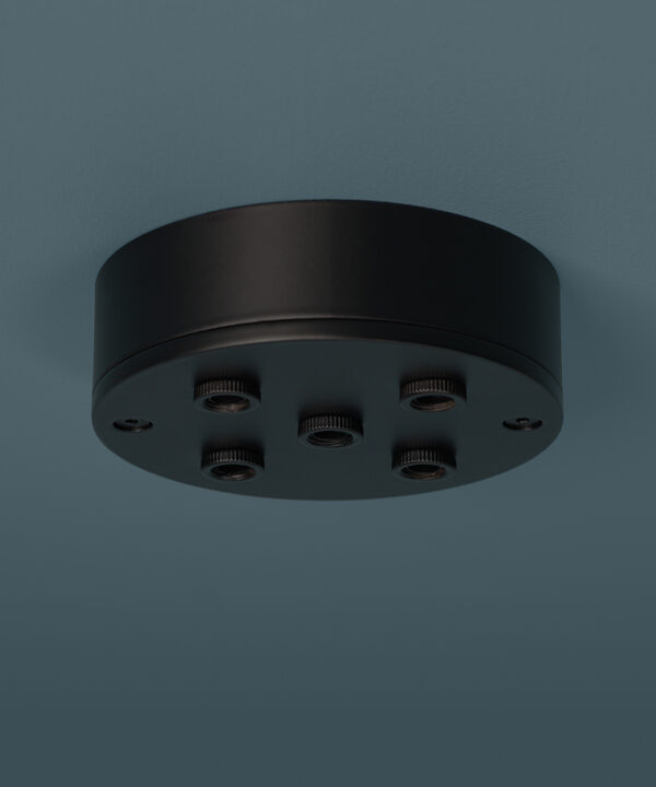 black 5 point ceiling rose on blue background