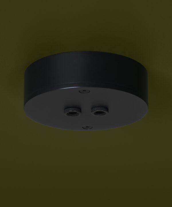 bronze antique black 2 point ceiling rose on green background