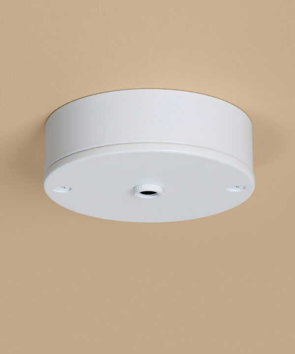 white 1 point ceiling rose on peach background