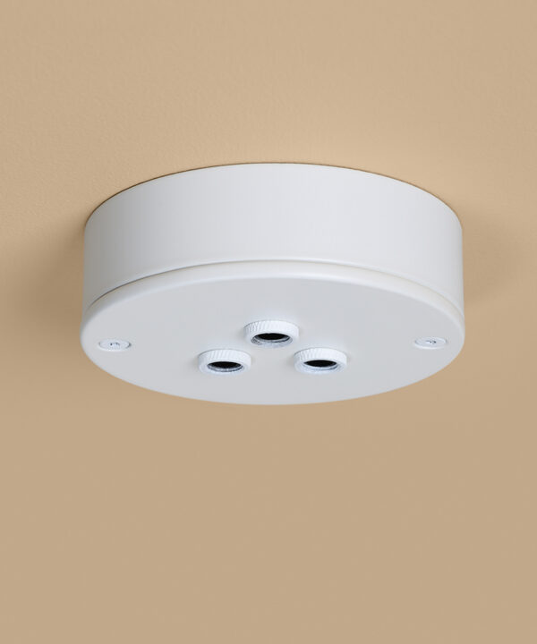white 3 point ceiling rose on peach background