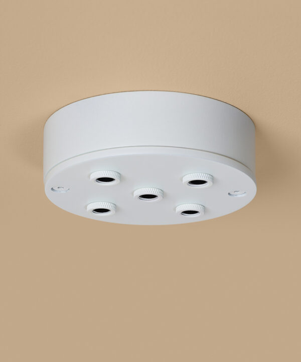 white 5 point ceiling rose on peach background