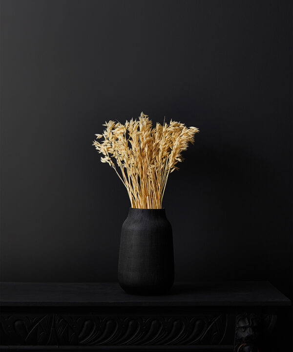 oat stems in short black textured vase on black background