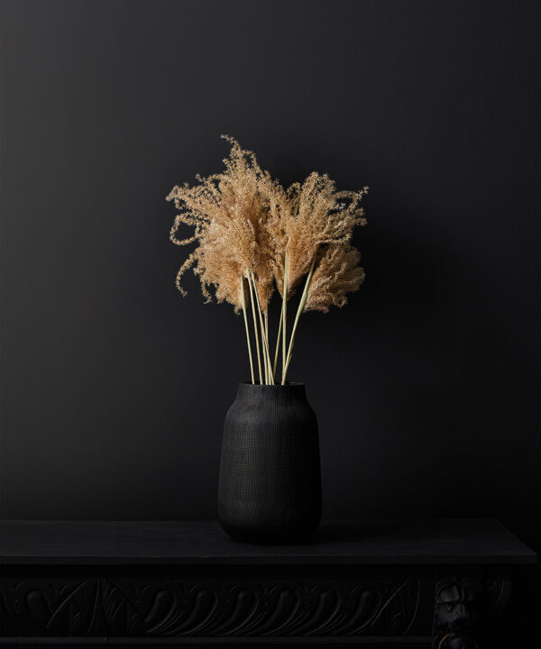 fluffy reed grass in short black textured vase on black background