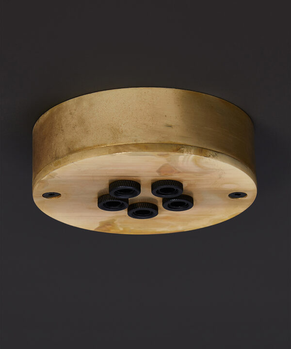 smoked gold 5 point cluster rose on black background