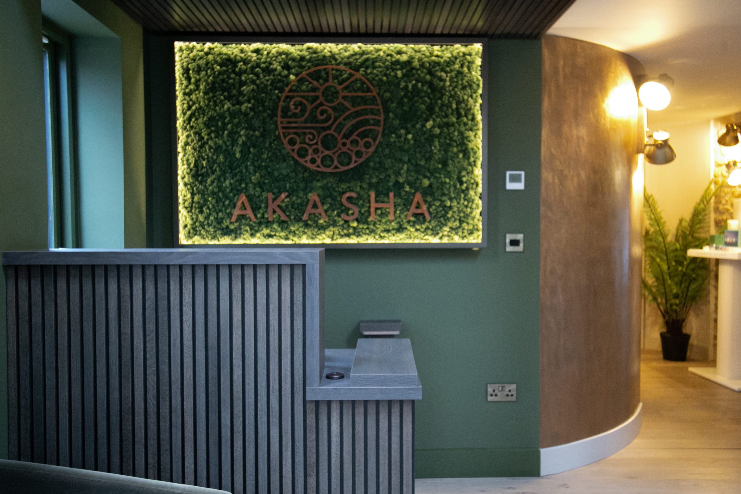 moss wall panels framed by lighting