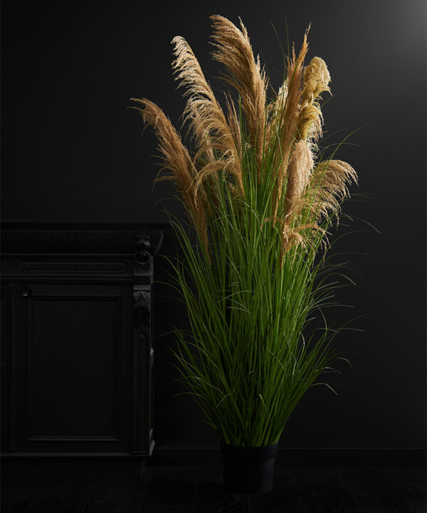 Faux Pampas Grass plant